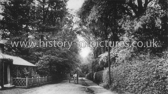 Vicargae Lane, Chigwell, Essex. c.1910